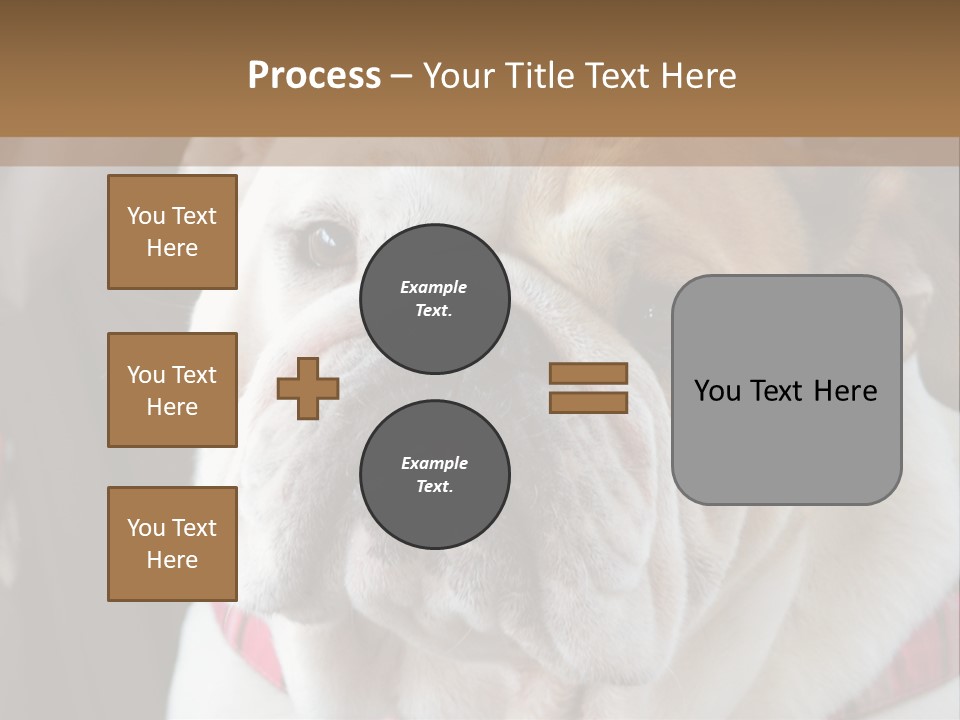 A Bulldog Is Sitting In A Stroller PowerPoint Template
