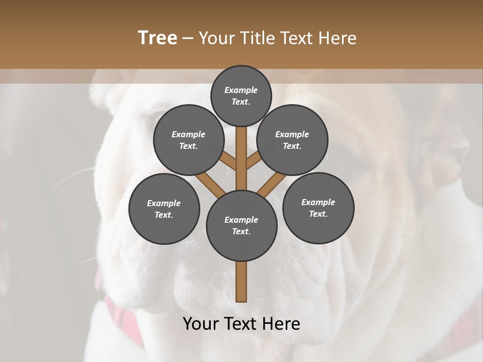 A Bulldog Is Sitting In A Stroller PowerPoint Template