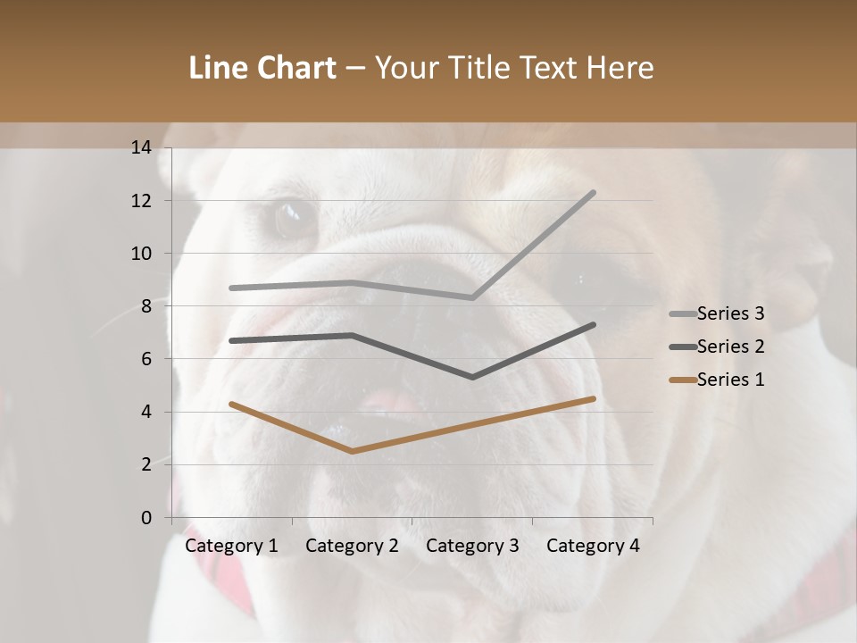 A Bulldog Is Sitting In A Stroller PowerPoint Template