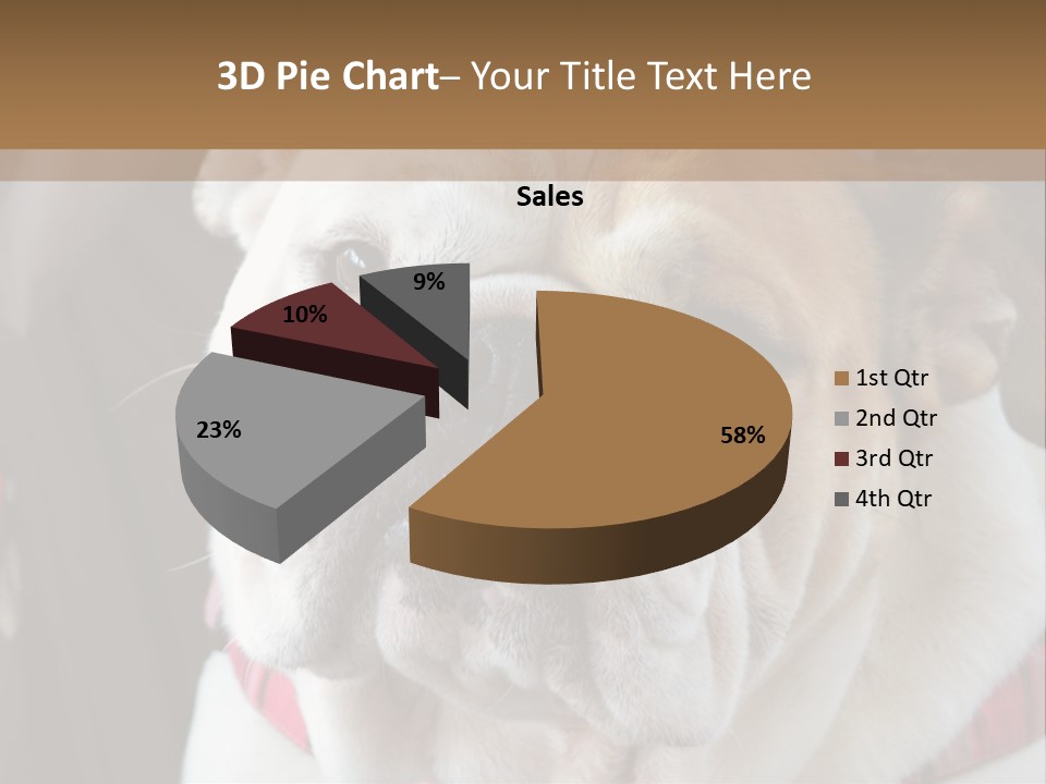 A Bulldog Is Sitting In A Stroller PowerPoint Template