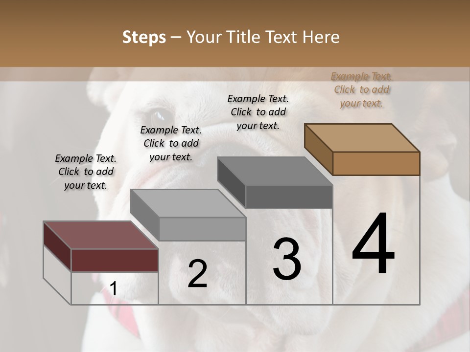 A Bulldog Is Sitting In A Stroller PowerPoint Template