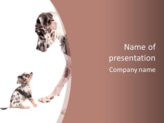 A Dog And A Puppy Are Looking At Each Other PowerPoint Template