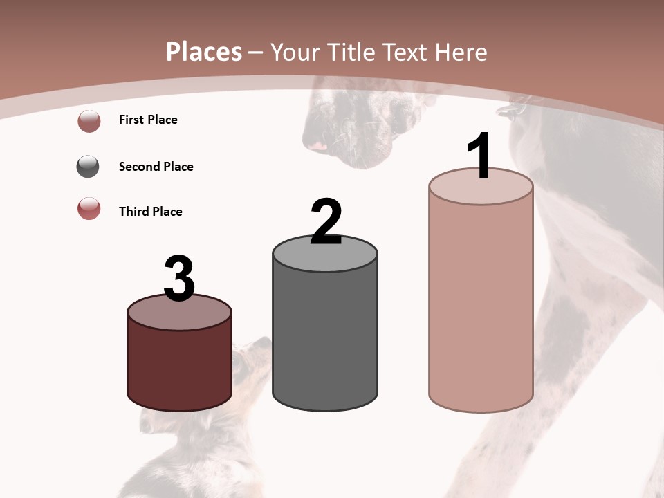 A Dog And A Puppy Are Looking At Each Other PowerPoint Template