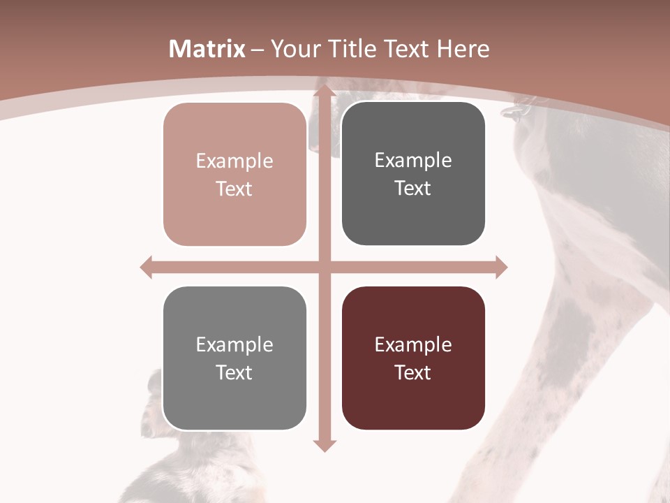 A Dog And A Puppy Are Looking At Each Other PowerPoint Template