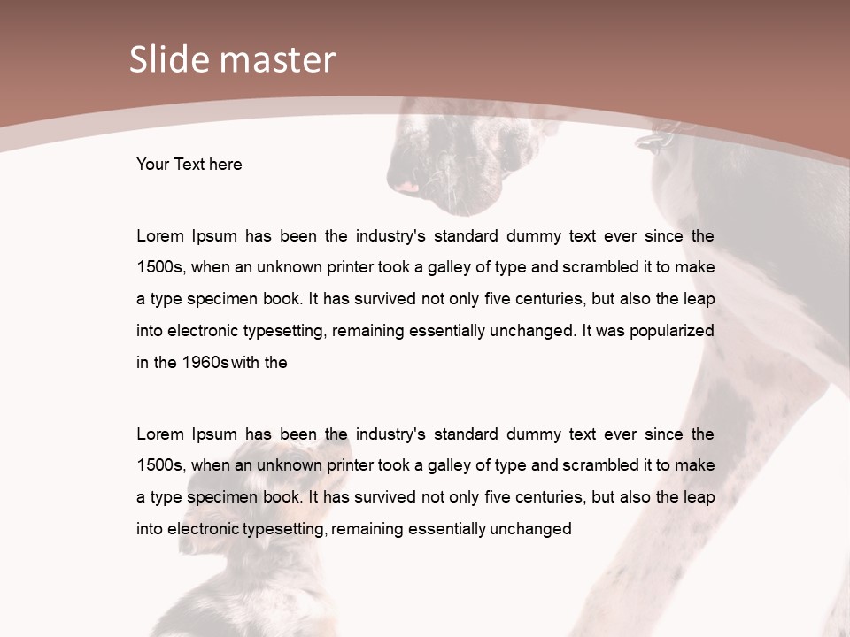 A Dog And A Puppy Are Looking At Each Other PowerPoint Template