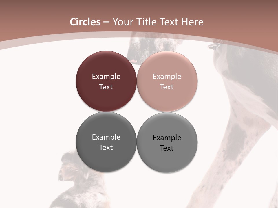 A Dog And A Puppy Are Looking At Each Other PowerPoint Template