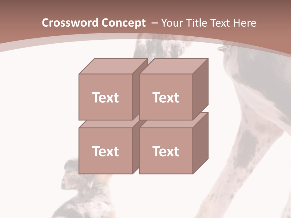 A Dog And A Puppy Are Looking At Each Other PowerPoint Template