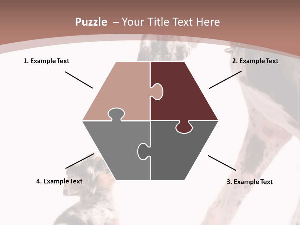 A Dog And A Puppy Are Looking At Each Other PowerPoint Template