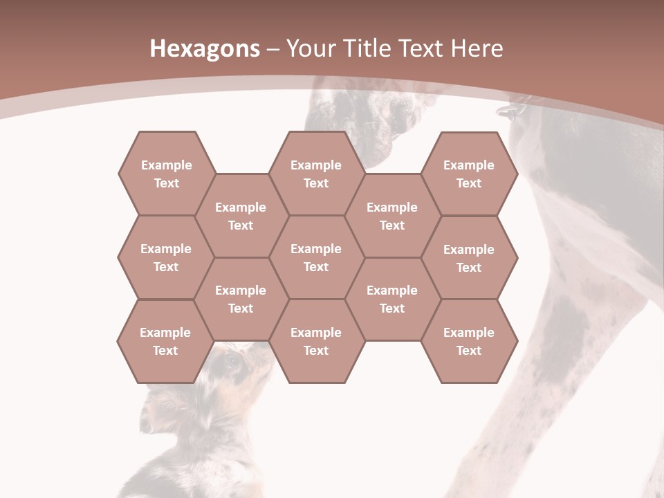 A Dog And A Puppy Are Looking At Each Other PowerPoint Template