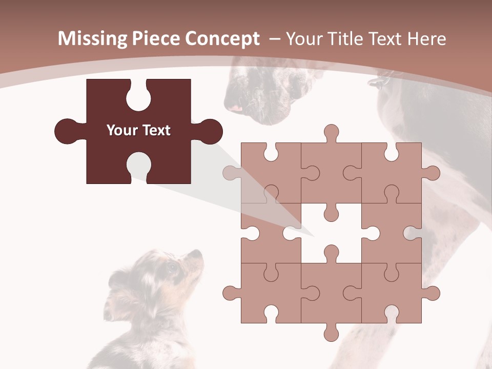 A Dog And A Puppy Are Looking At Each Other PowerPoint Template