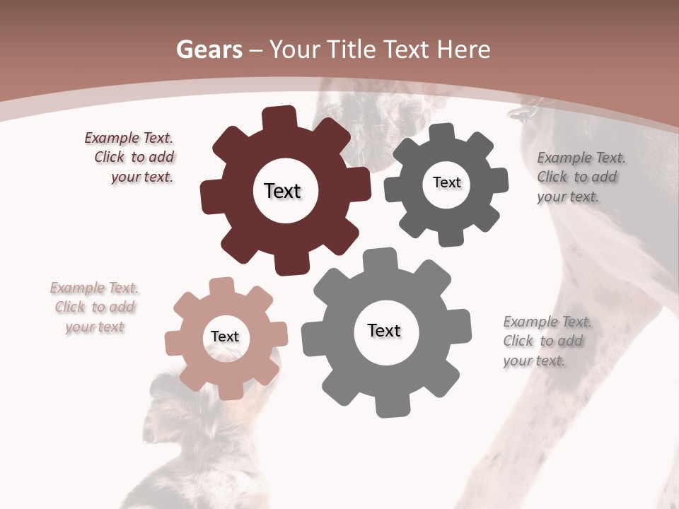 A Dog And A Puppy Are Looking At Each Other PowerPoint Template