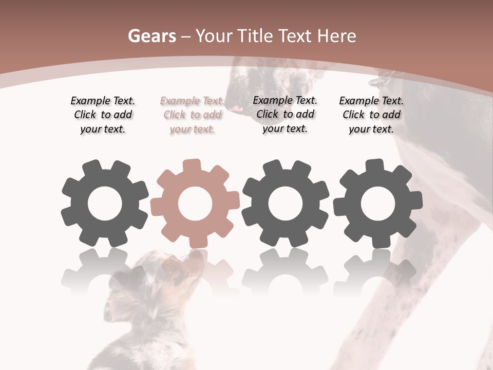 A Dog And A Puppy Are Looking At Each Other PowerPoint Template