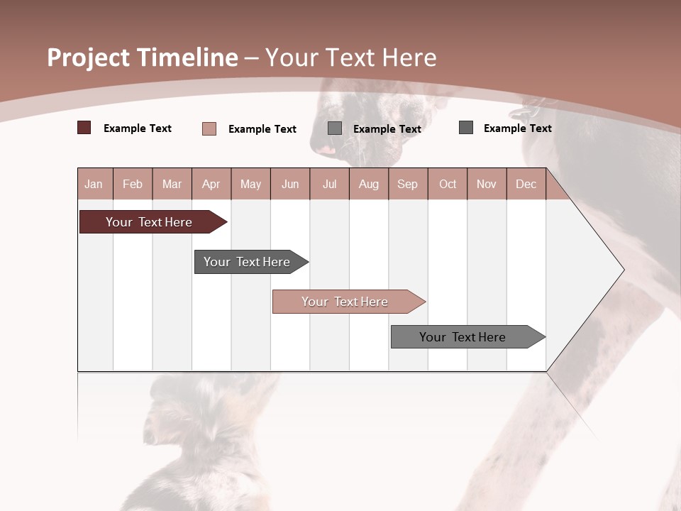 A Dog And A Puppy Are Looking At Each Other PowerPoint Template