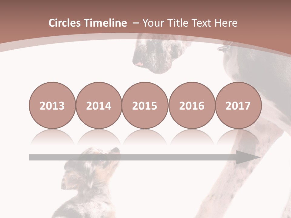 A Dog And A Puppy Are Looking At Each Other PowerPoint Template