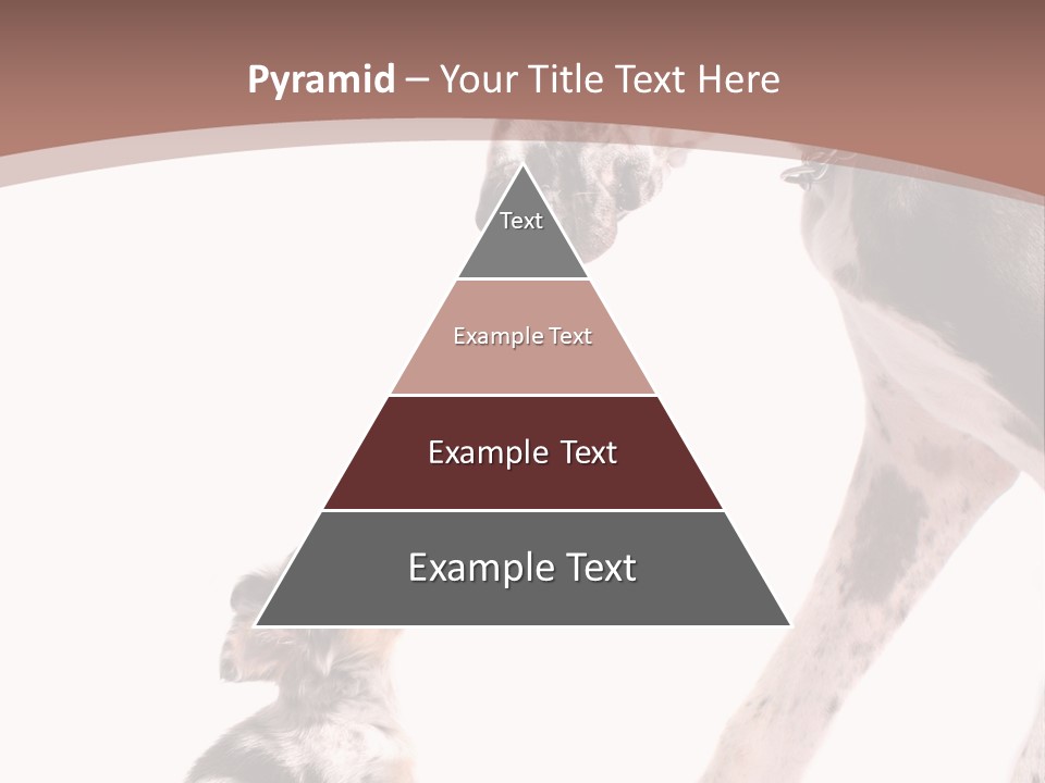 A Dog And A Puppy Are Looking At Each Other PowerPoint Template