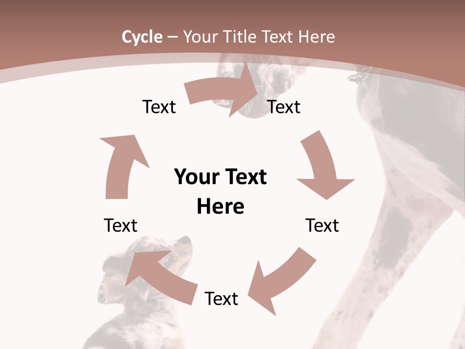 A Dog And A Puppy Are Looking At Each Other PowerPoint Template