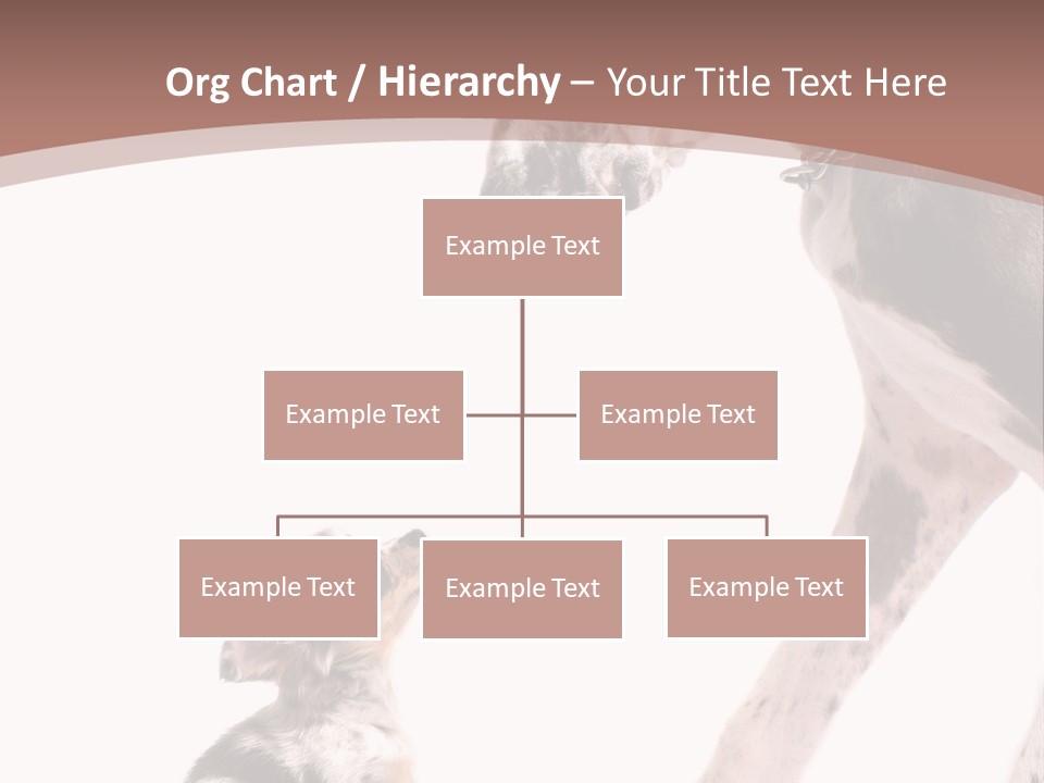 A Dog And A Puppy Are Looking At Each Other PowerPoint Template