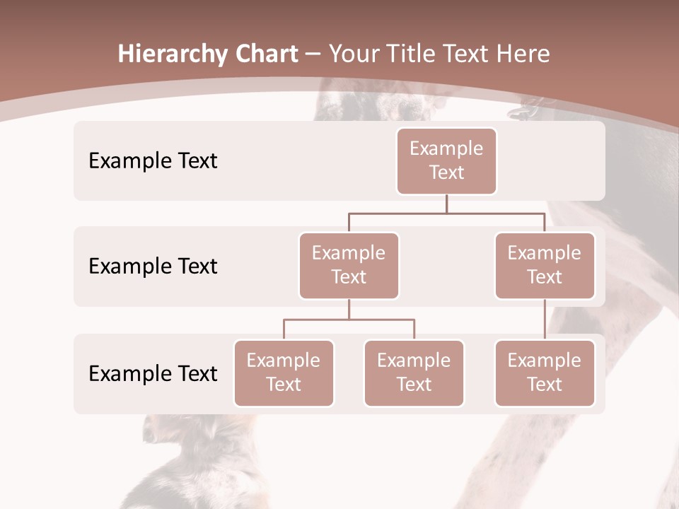 A Dog And A Puppy Are Looking At Each Other PowerPoint Template