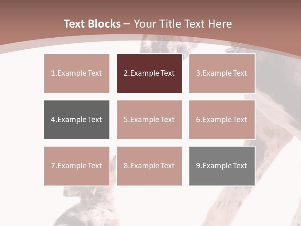 A Dog And A Puppy Are Looking At Each Other PowerPoint Template