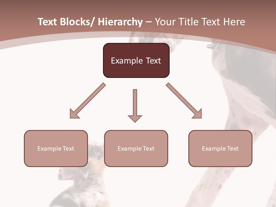 A Dog And A Puppy Are Looking At Each Other PowerPoint Template