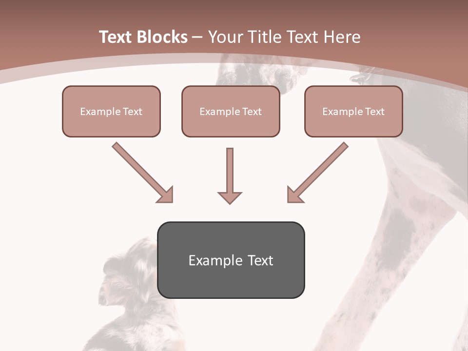 A Dog And A Puppy Are Looking At Each Other PowerPoint Template