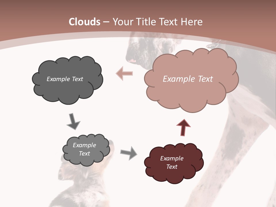 A Dog And A Puppy Are Looking At Each Other PowerPoint Template