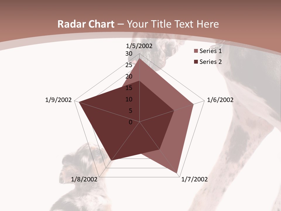 A Dog And A Puppy Are Looking At Each Other PowerPoint Template
