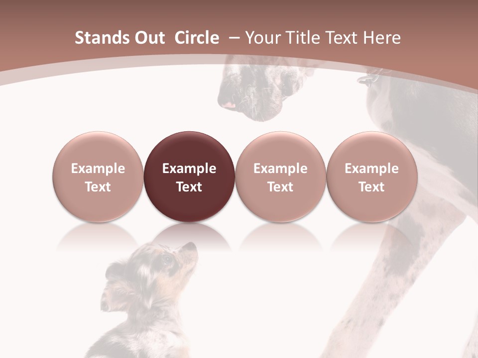 A Dog And A Puppy Are Looking At Each Other PowerPoint Template