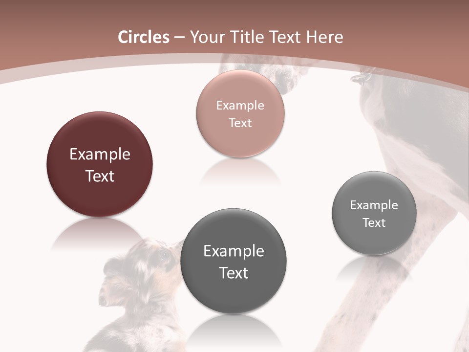 A Dog And A Puppy Are Looking At Each Other PowerPoint Template