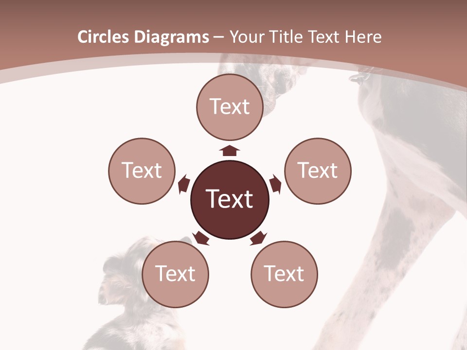 A Dog And A Puppy Are Looking At Each Other PowerPoint Template