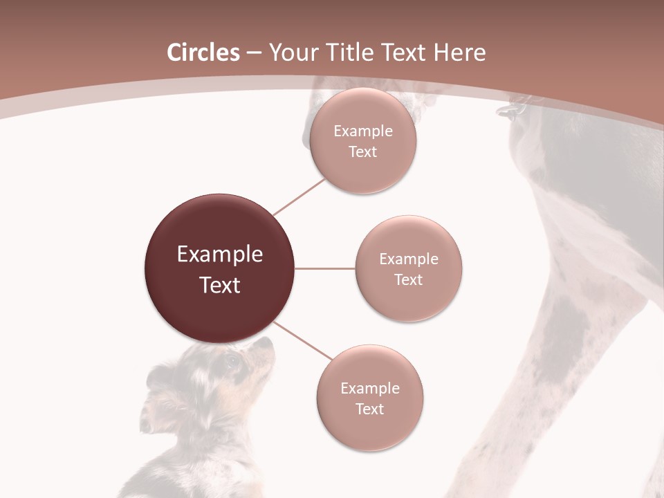 A Dog And A Puppy Are Looking At Each Other PowerPoint Template