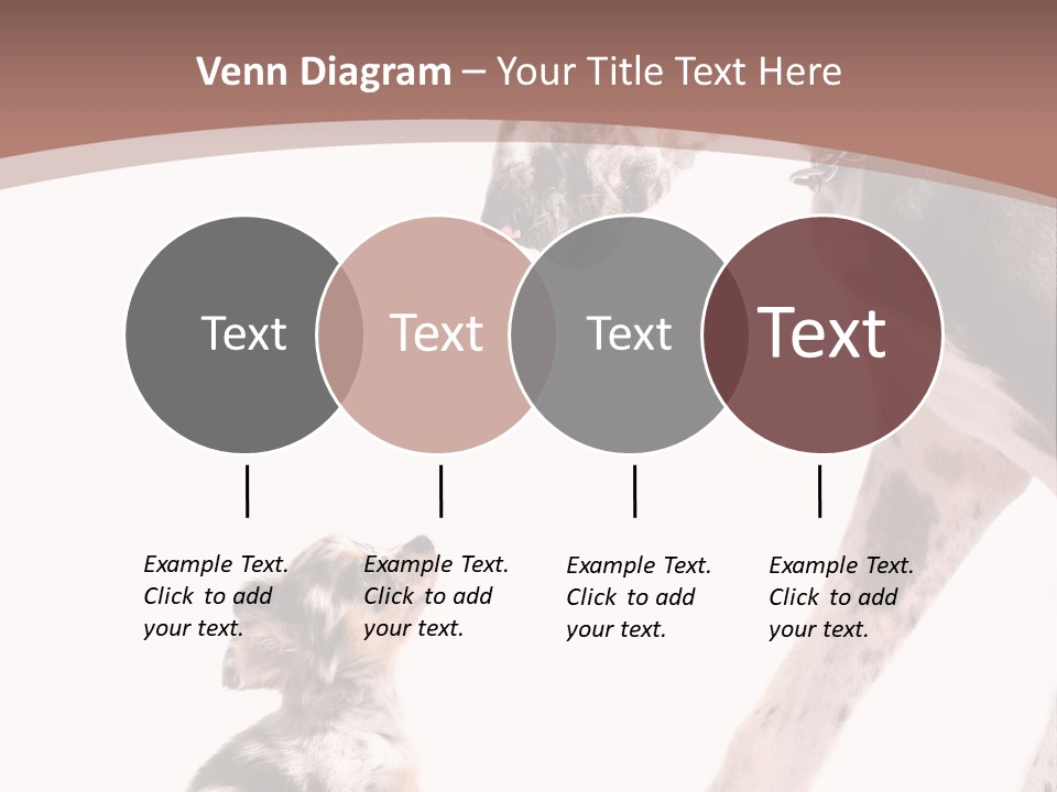 A Dog And A Puppy Are Looking At Each Other PowerPoint Template