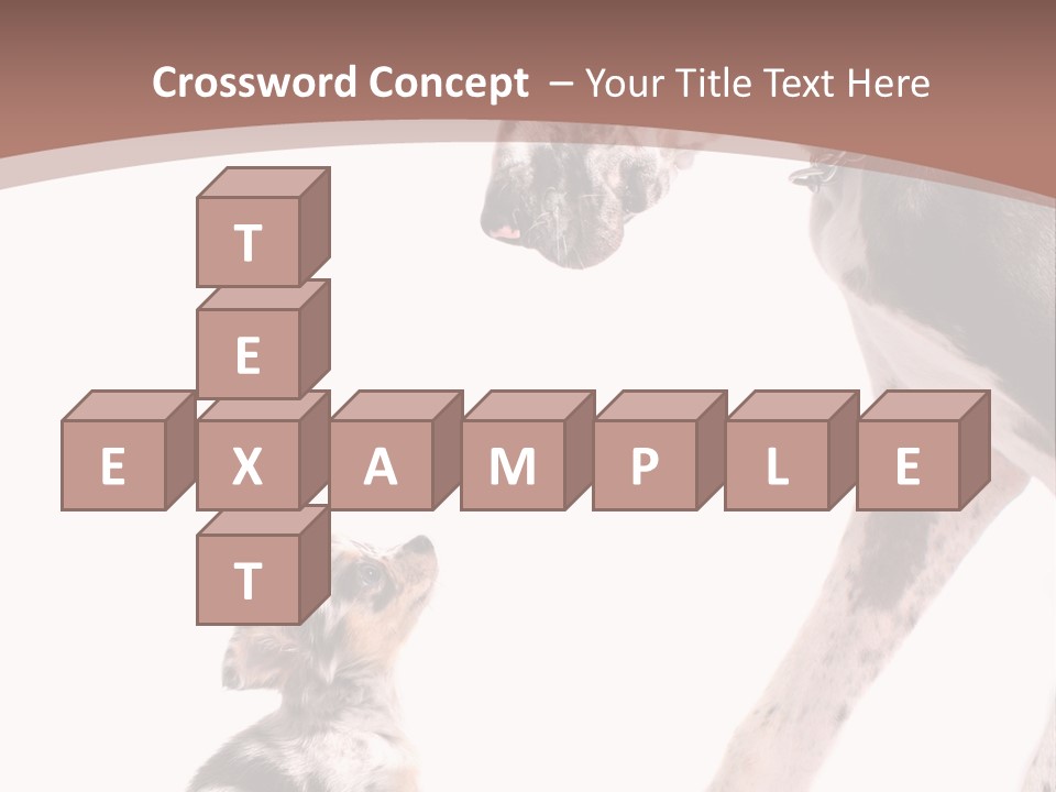 A Dog And A Puppy Are Looking At Each Other PowerPoint Template