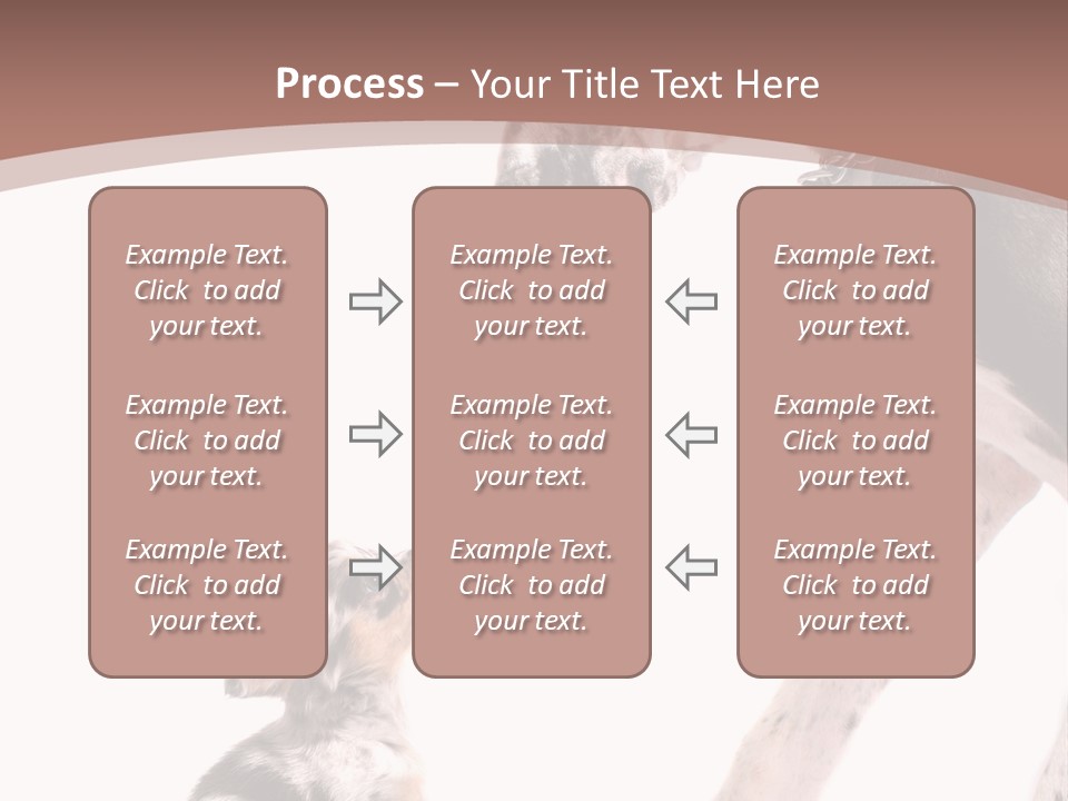 A Dog And A Puppy Are Looking At Each Other PowerPoint Template