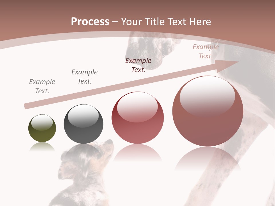 A Dog And A Puppy Are Looking At Each Other PowerPoint Template