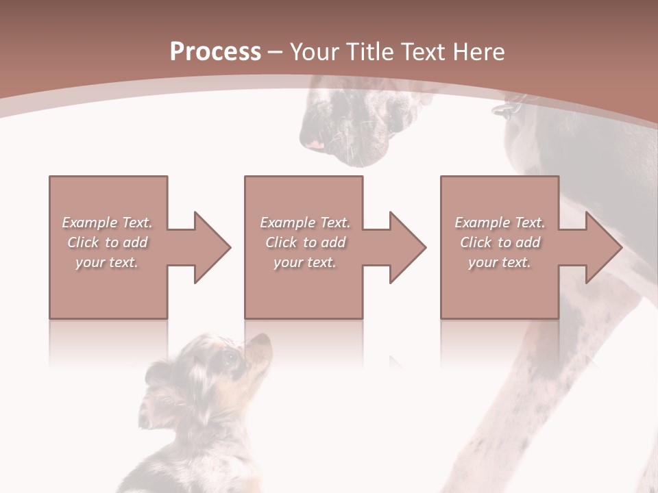 A Dog And A Puppy Are Looking At Each Other PowerPoint Template