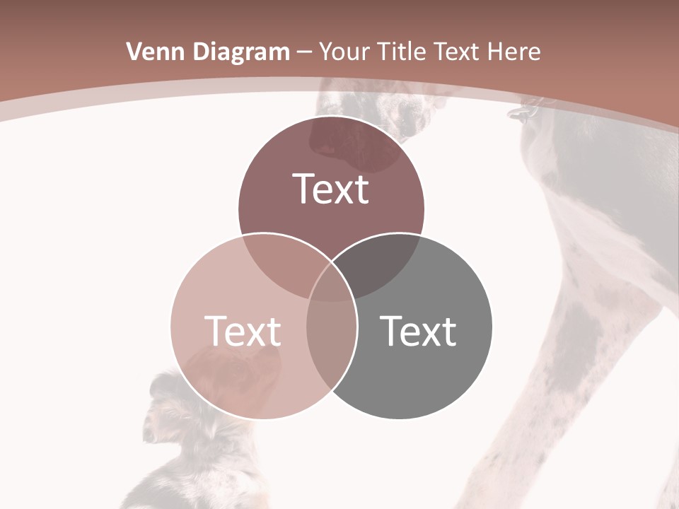 A Dog And A Puppy Are Looking At Each Other PowerPoint Template