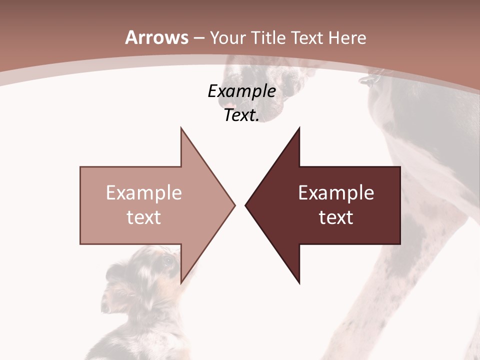 A Dog And A Puppy Are Looking At Each Other PowerPoint Template