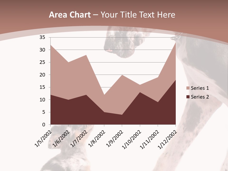 A Dog And A Puppy Are Looking At Each Other PowerPoint Template