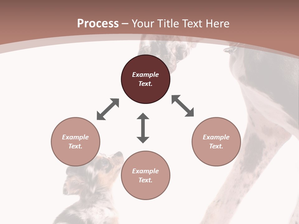 A Dog And A Puppy Are Looking At Each Other PowerPoint Template