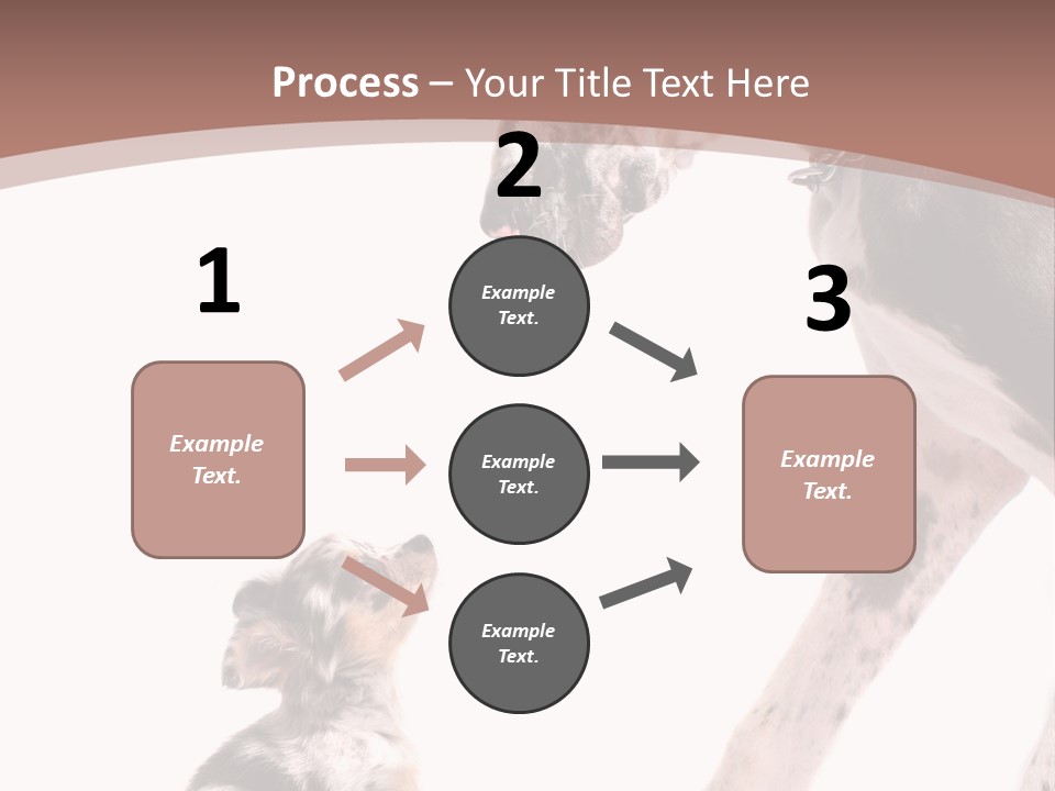 A Dog And A Puppy Are Looking At Each Other PowerPoint Template