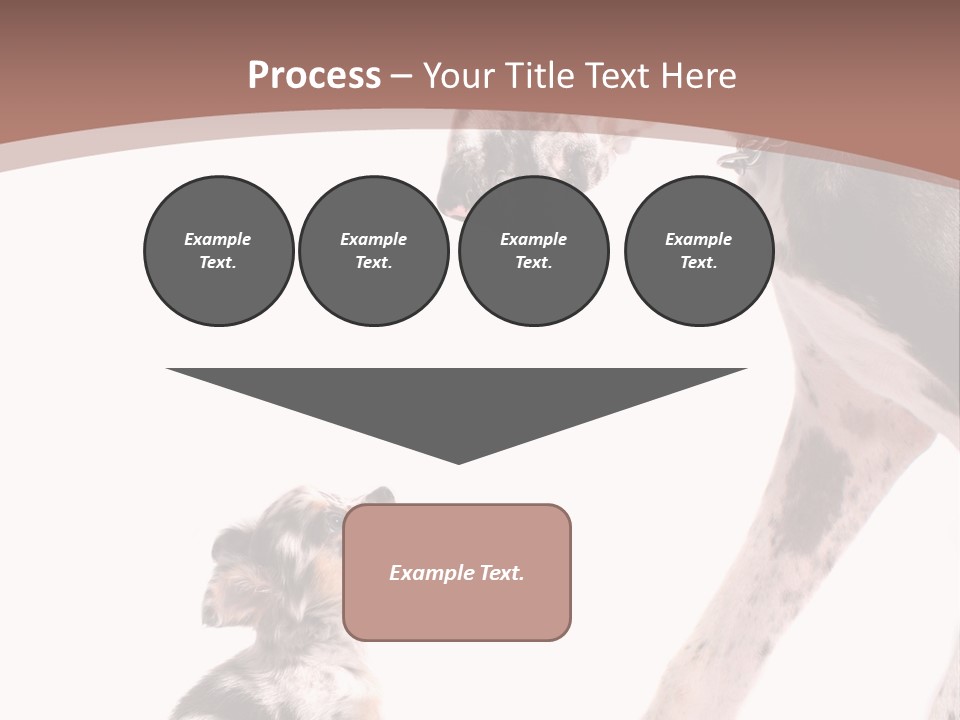 A Dog And A Puppy Are Looking At Each Other PowerPoint Template