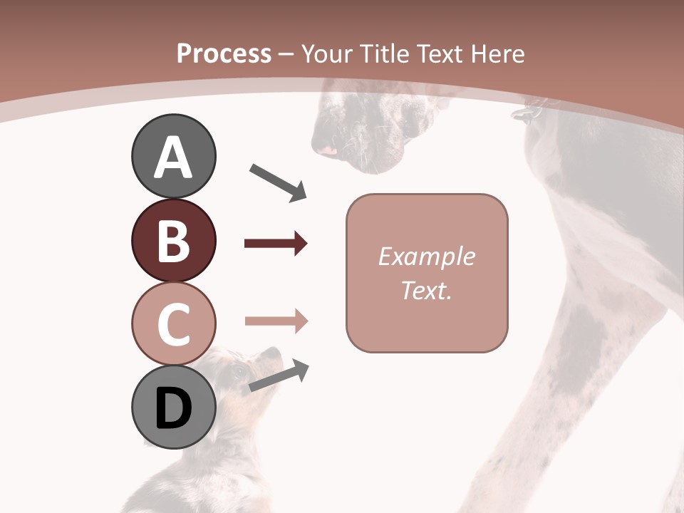 A Dog And A Puppy Are Looking At Each Other PowerPoint Template