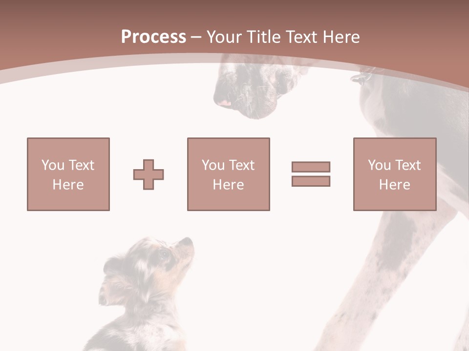 A Dog And A Puppy Are Looking At Each Other PowerPoint Template