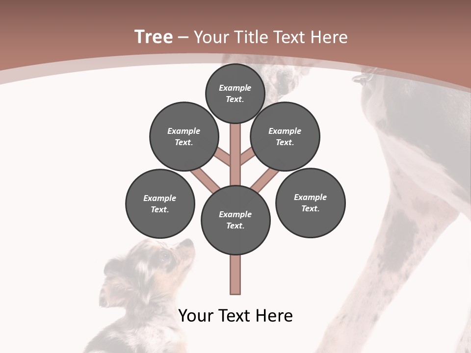 A Dog And A Puppy Are Looking At Each Other PowerPoint Template