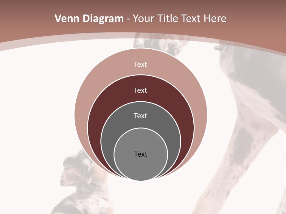 A Dog And A Puppy Are Looking At Each Other PowerPoint Template