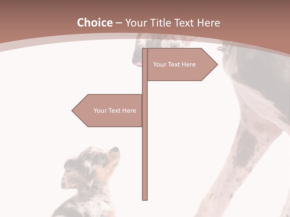 A Dog And A Puppy Are Looking At Each Other PowerPoint Template