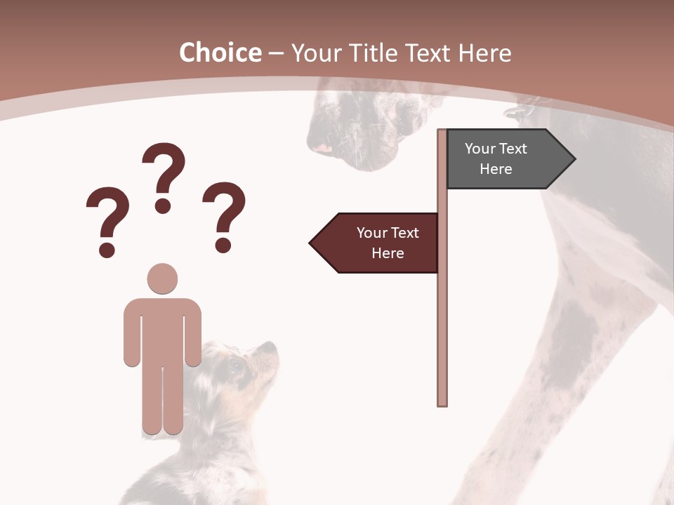 A Dog And A Puppy Are Looking At Each Other PowerPoint Template