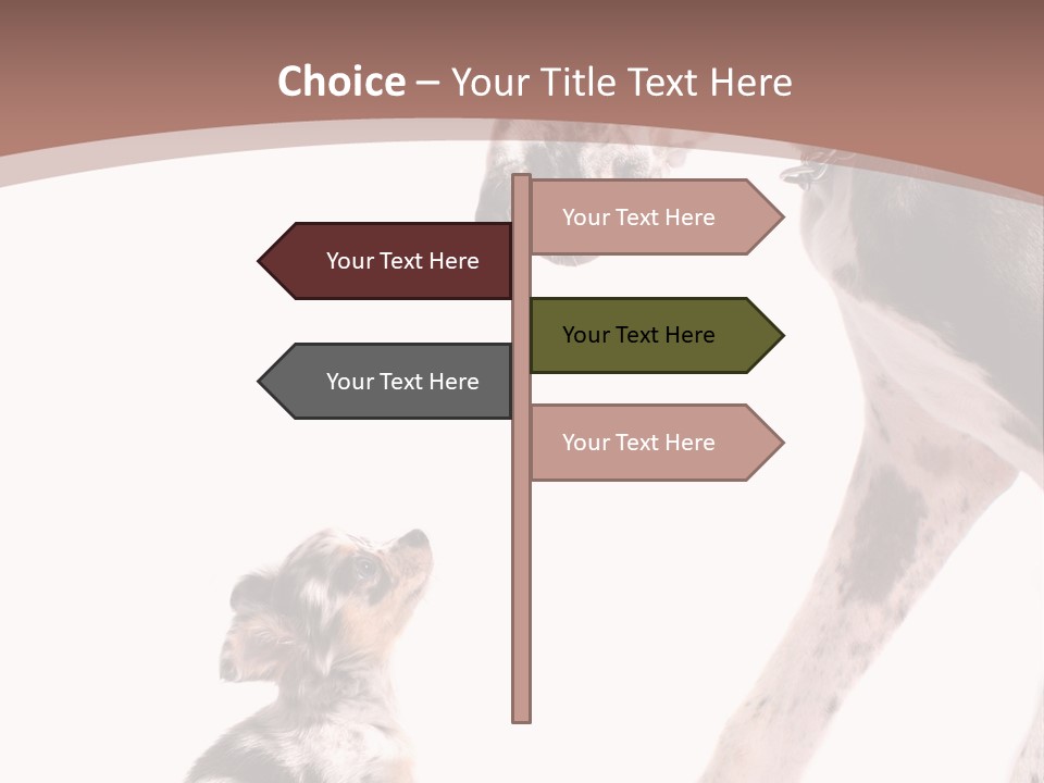A Dog And A Puppy Are Looking At Each Other PowerPoint Template