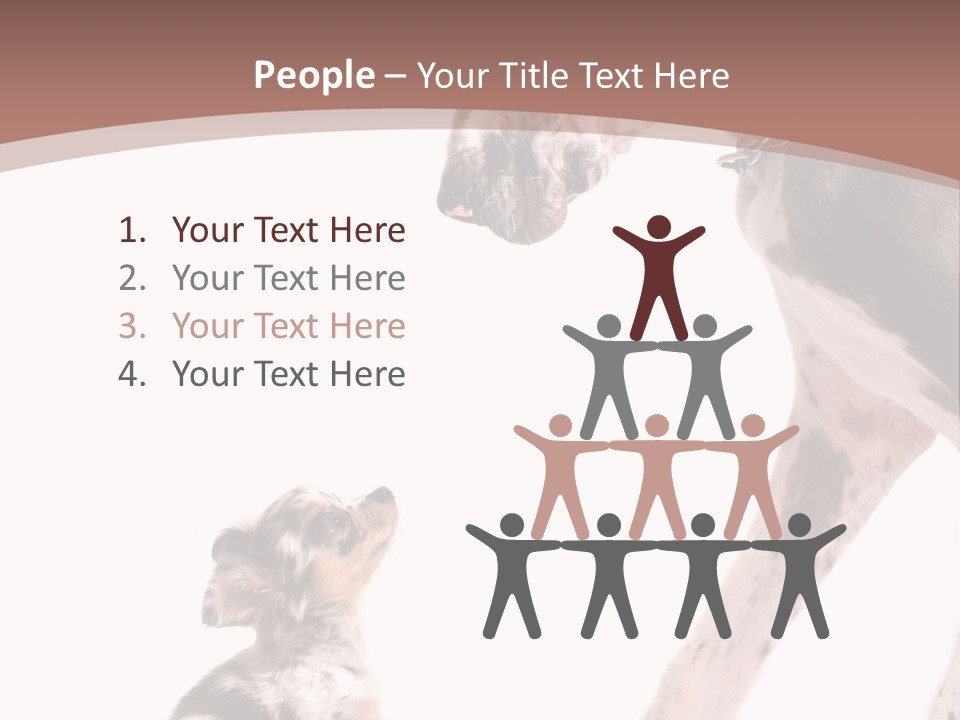 A Dog And A Puppy Are Looking At Each Other PowerPoint Template